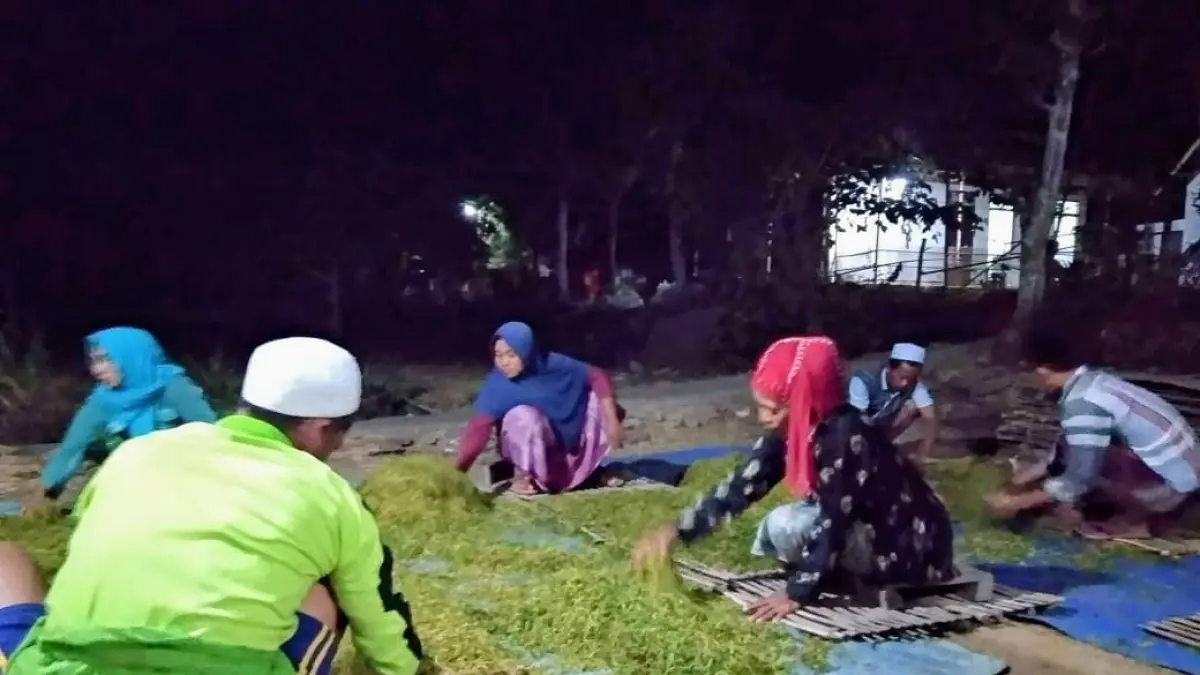DAUN EMAS: Sejumlah petani tengah mempersiapkan proses penjemuran rajangan tembakau di Desa Rajun, Kecamatan Pasongsongan, pada musim panen 2025.