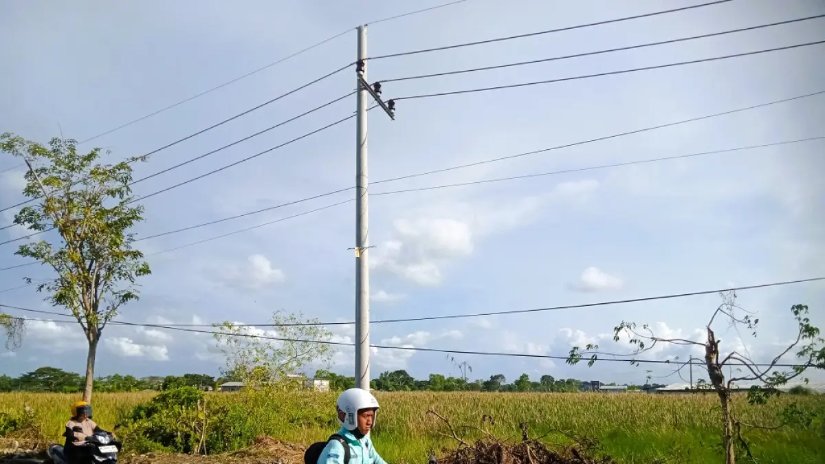 PANAS: Tumbuhan mulai menguning di area persawahan Desa Bilaporah, Kecamatan Socah, Bangkalan, Rabu (8/4).