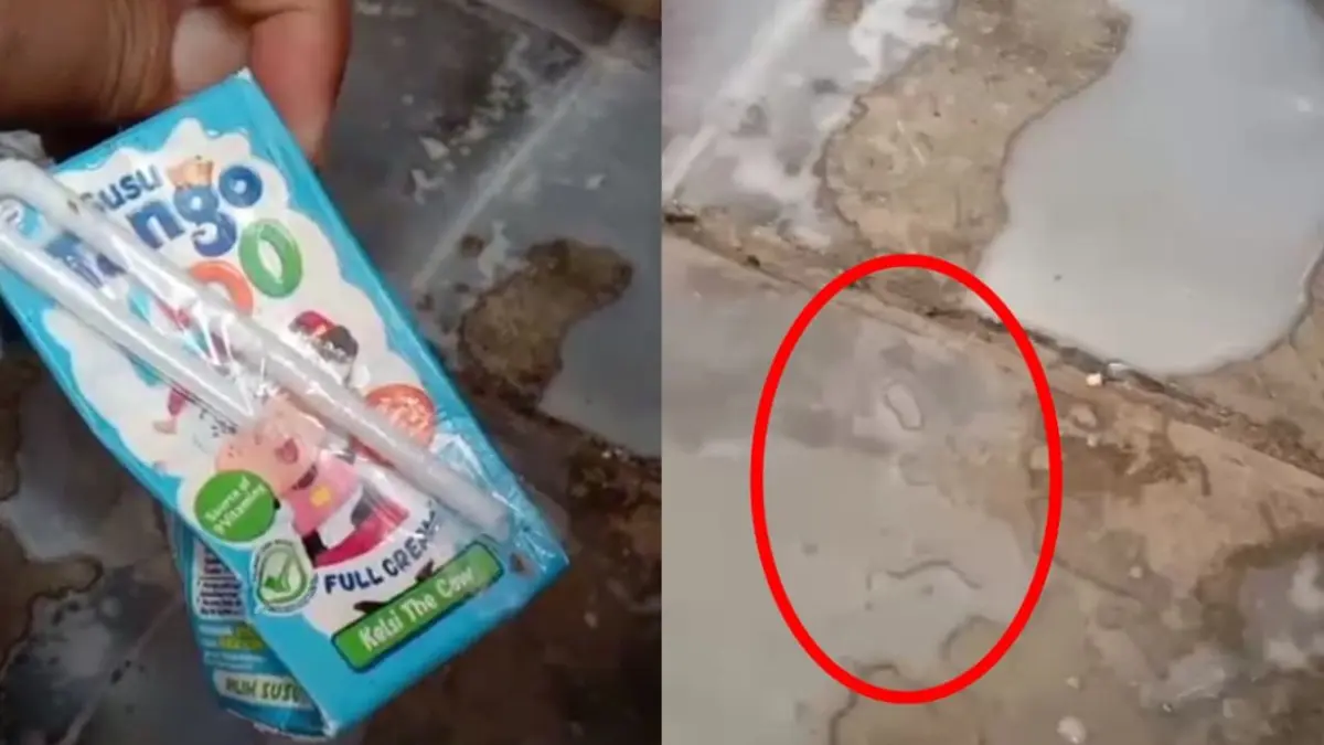 TIDAK LAYAK: Menu susu MBG yang diterima murid SDN Sentol 2 Pademawu dalam kondisi basi, Selasa (14/4).