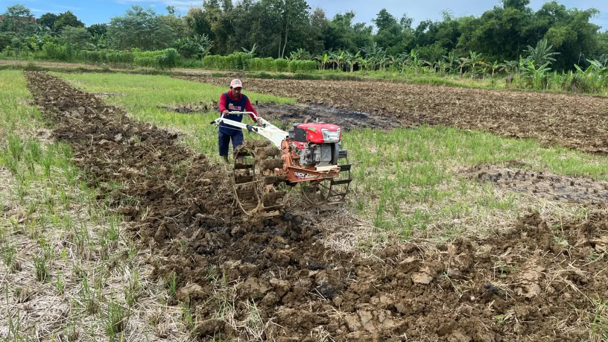 TERIK: Petani menggarap lahan menggunakan traktor di Desa Bettet, Kecamatan Pamekasan, Kamis (7/5).