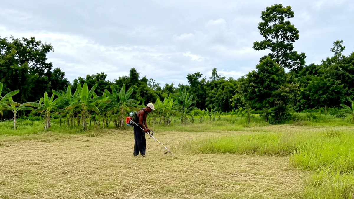 TERIK: Petani membersihkan lahan di Desa Nyalabu Laok, Kecamatan Kota Pamekasan, Selasa (12/5). (MOH. IQBAL AFGANI/JPRM)
