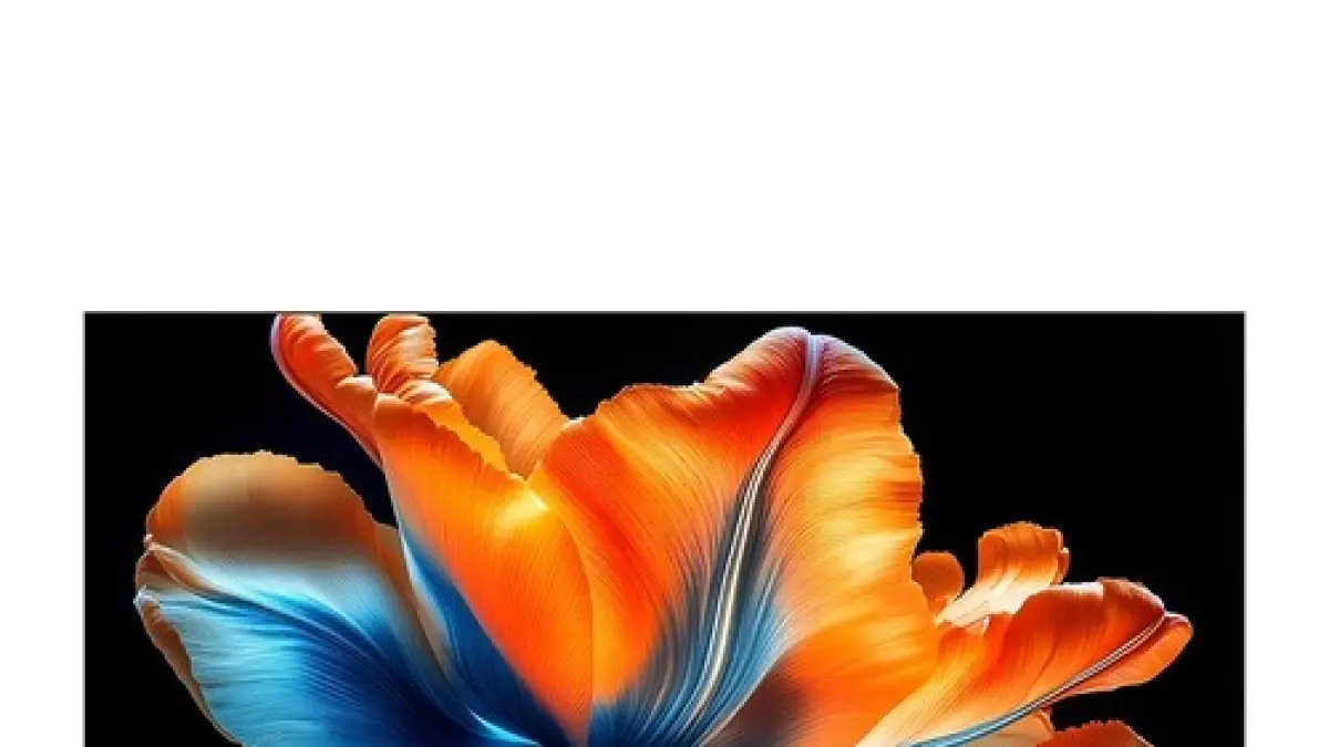 TV S Mini LED 2026