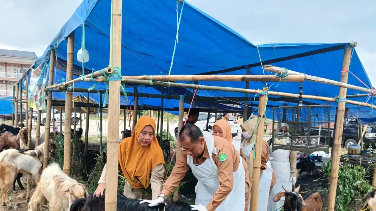 CEK LAPANGAN: Kepala DKPP Sumenep Chainur Rasyid melakukan monitoring lapak hewan kurban di Jalan Bumi Sumekar, Desa Kolor, Kecamatan Kota, Selasa (19/2).