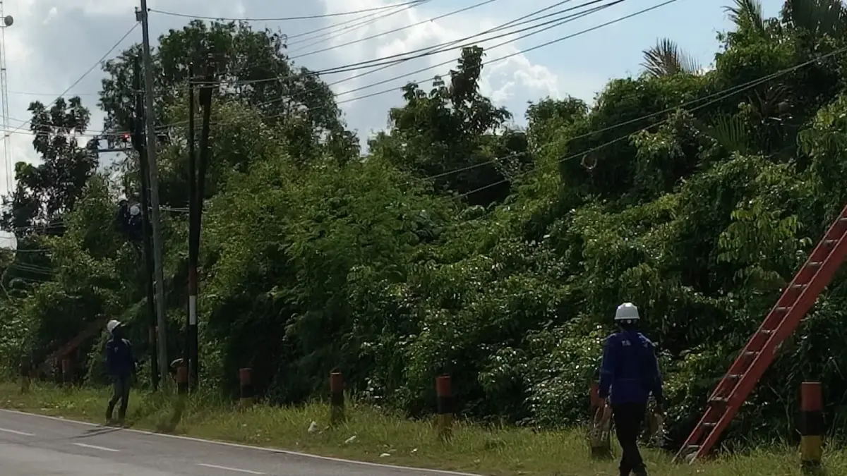 BEKERJA: Petugas PLN Sumenep tengah melakukan perbaikan jaringan listrik di Kecamatan Saronggi, Sumenep.