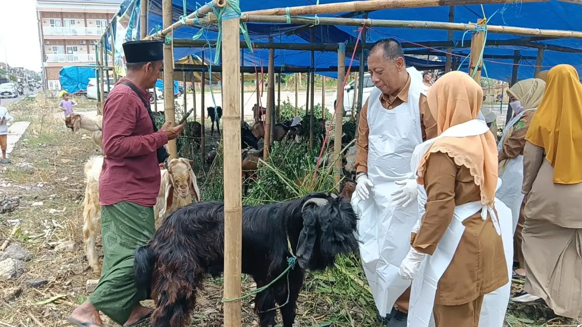 MEMANTAU: Kepala DKPP Sumenep Chainur Rasyid turun langsung ke lapak penjualan hewan di Desa Kolor, Kecamatan Kota, Selasa (19/5).
