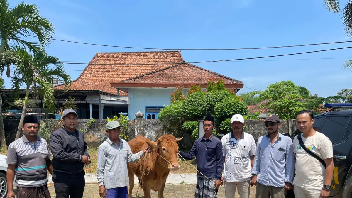 DIKEMBALIKAN: Aparat mengembalikan seekor sapi kepada pemiliknya, Sabtu (2/5).