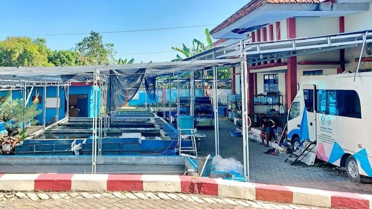 BERTUGAS: Petugas tengah berada di kolam pembibitan ikan di kantor Diskan Sumenep, Pangarangan, Kecamatan Kota, Selasa (2/6). (MOH. LATIF/JPRM)