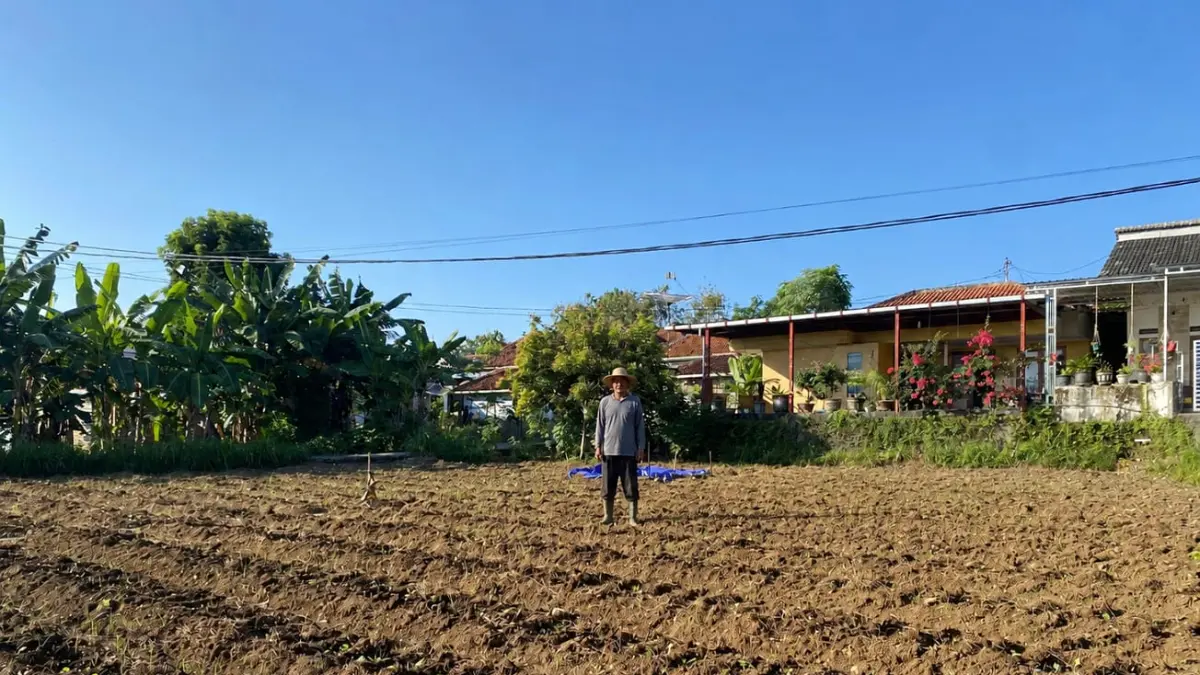 TERIK: Petani berada di sekitar sawah di Desa Waru Barat, Kecamatan Waru, Minggu (7/6).