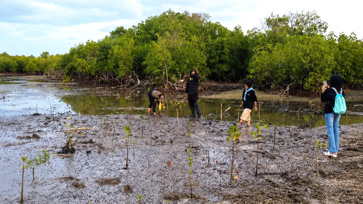 PEDULI LINGKUNGAN: Aktivis menanam mangrove di pesisir Desa Ambat, Kecamatan Tlanakan, Pamekasan, Rabu (22/4).&nbsp; (ARCI UNTUK JPRM)