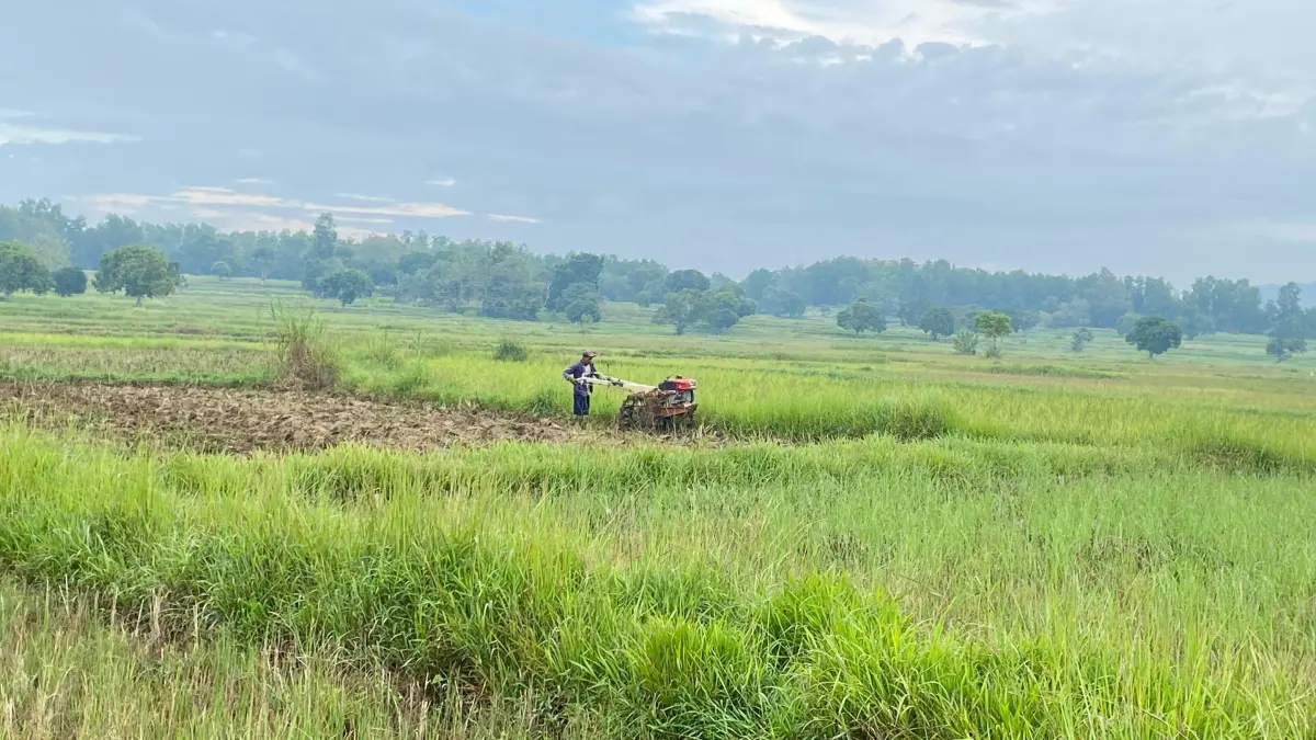 KETAHANAN PANGAN: Petani saat membajak sawah di Desa Pangelen, Kecamatan Sampang, Jumat (12/6). (AYU LATIFAH/JPRM)