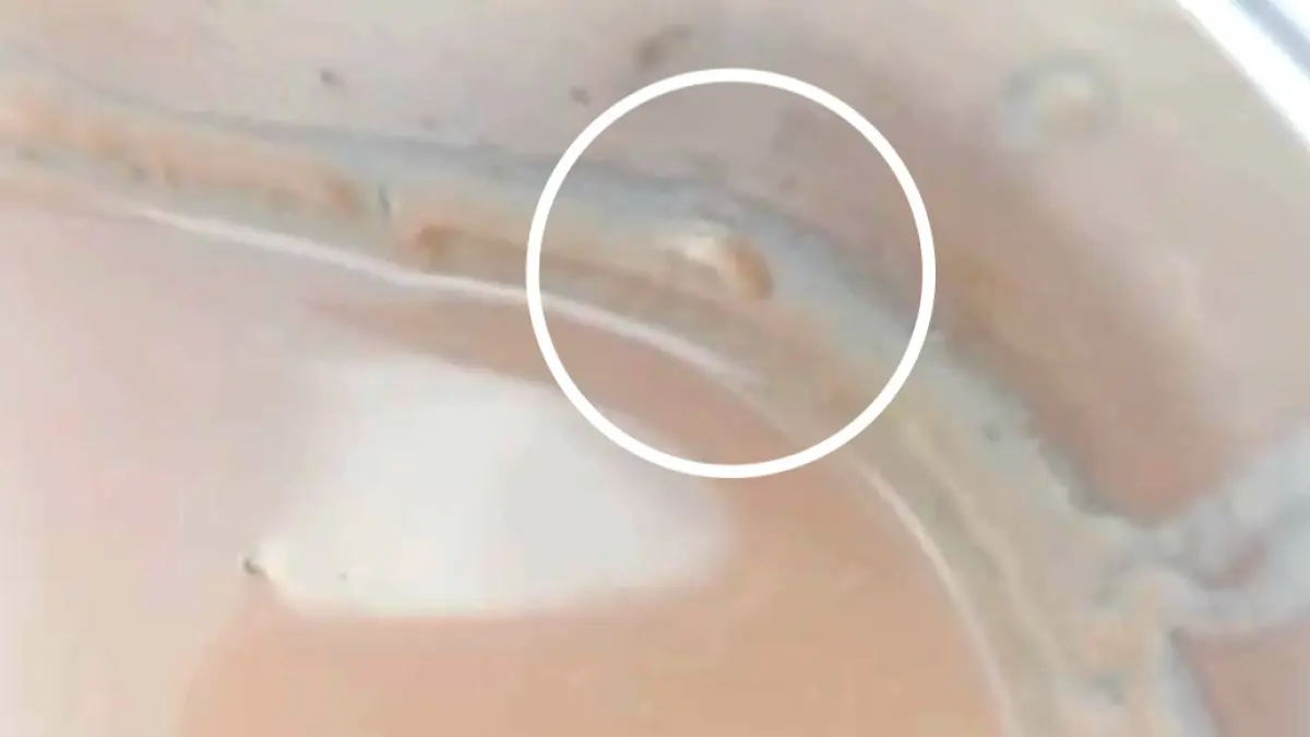 Susu MBG berulat di SDN Buker 3, Kecamatan Jrengik, yang menjadi perhatian banyak pihak.