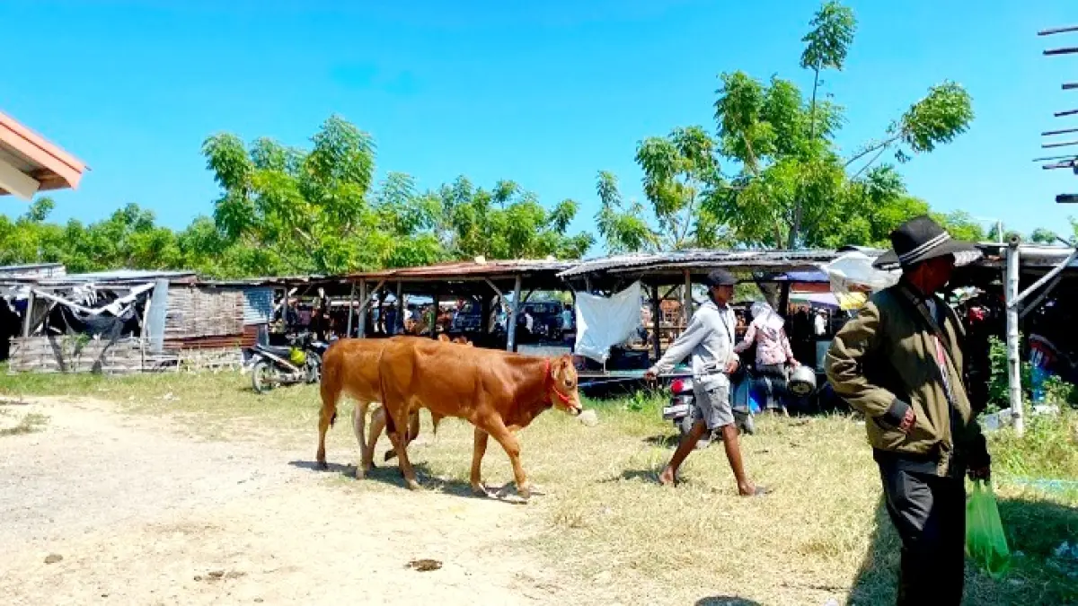 TERIK: Pedagang menjajakan sapi di Pasar Aeng Sareh, Sampang, Kamis (18/6). (AYU LATIFAH/JPRM)