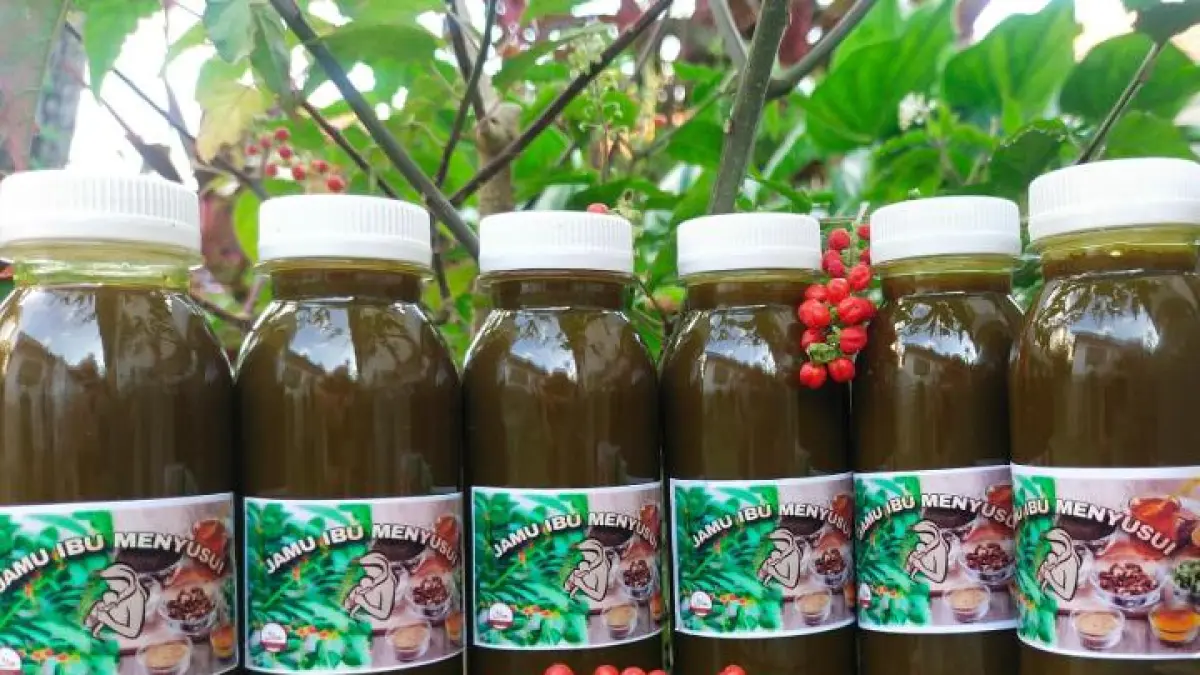 Salah satu kemasan jamu herbal tradisional untuk Busui