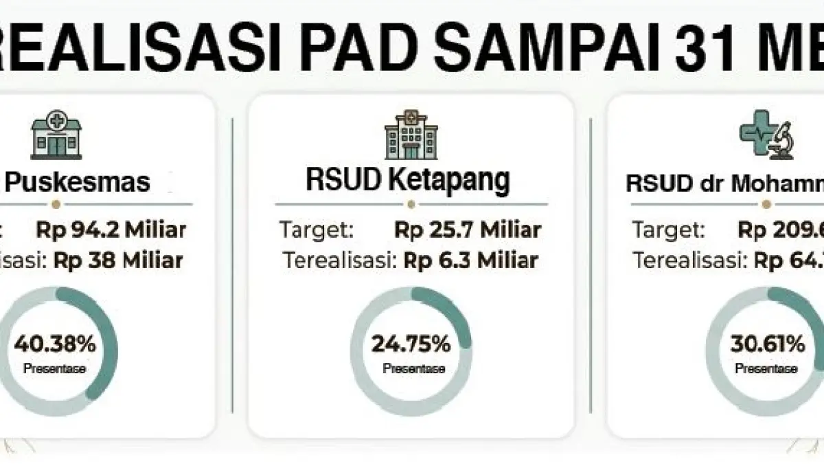 GRAFIK REALISASI PAD SAMPAI 31 MEI