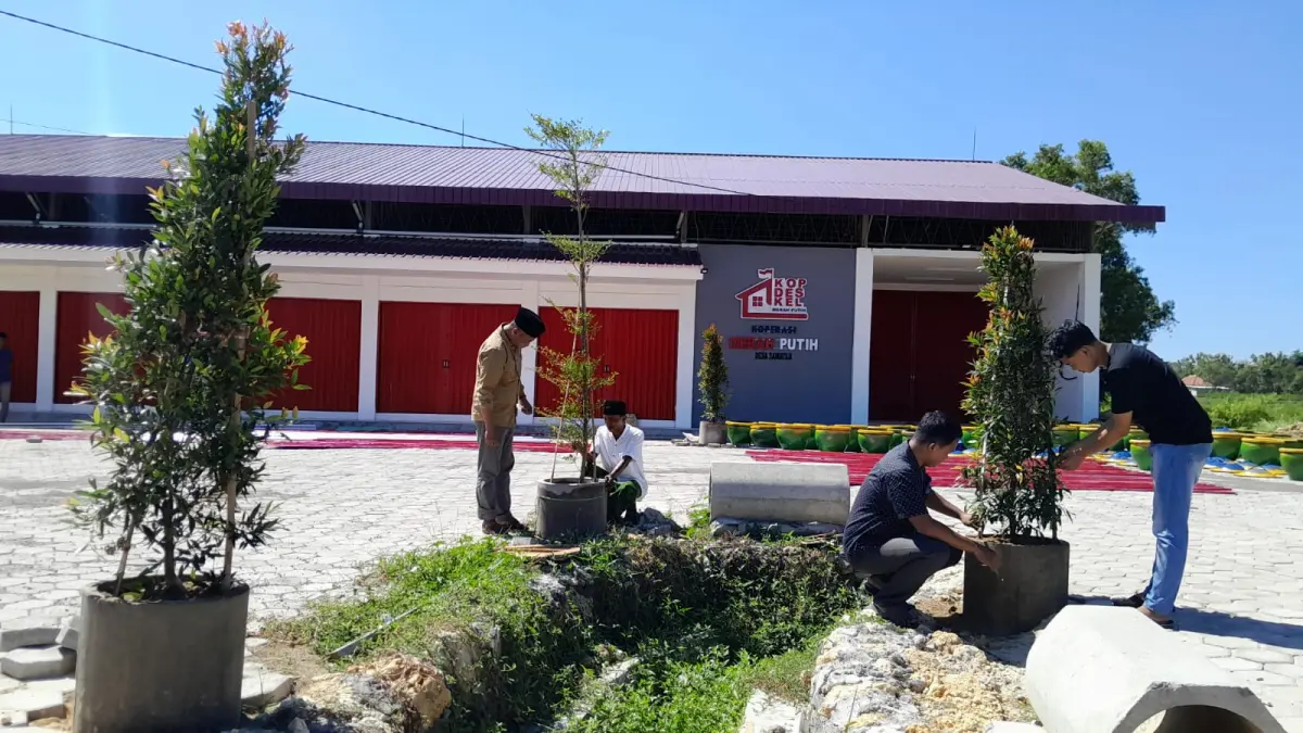 PROGRAM NASIONAL: Kades Samatan, Kecamatan Proppo, Mohammad Tamyiz, bersama sejumlah perangkat desa mengecek kondisi tanaman di halaman KDKMP, Senin (29/6).