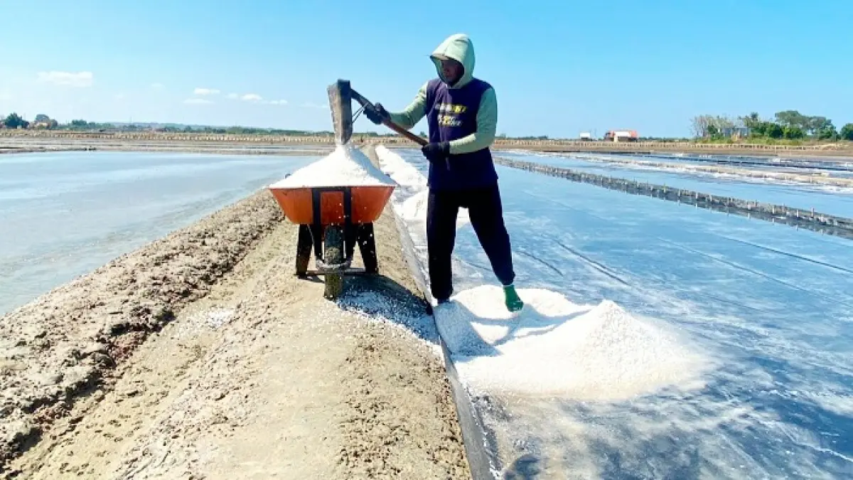 PRODUKTIF: Petambak saat mengangkut garam di Desa Aeng Sareh, Kecamatan Sampang, Kamis (18/6). (AYU LATIFAH/JPRM)