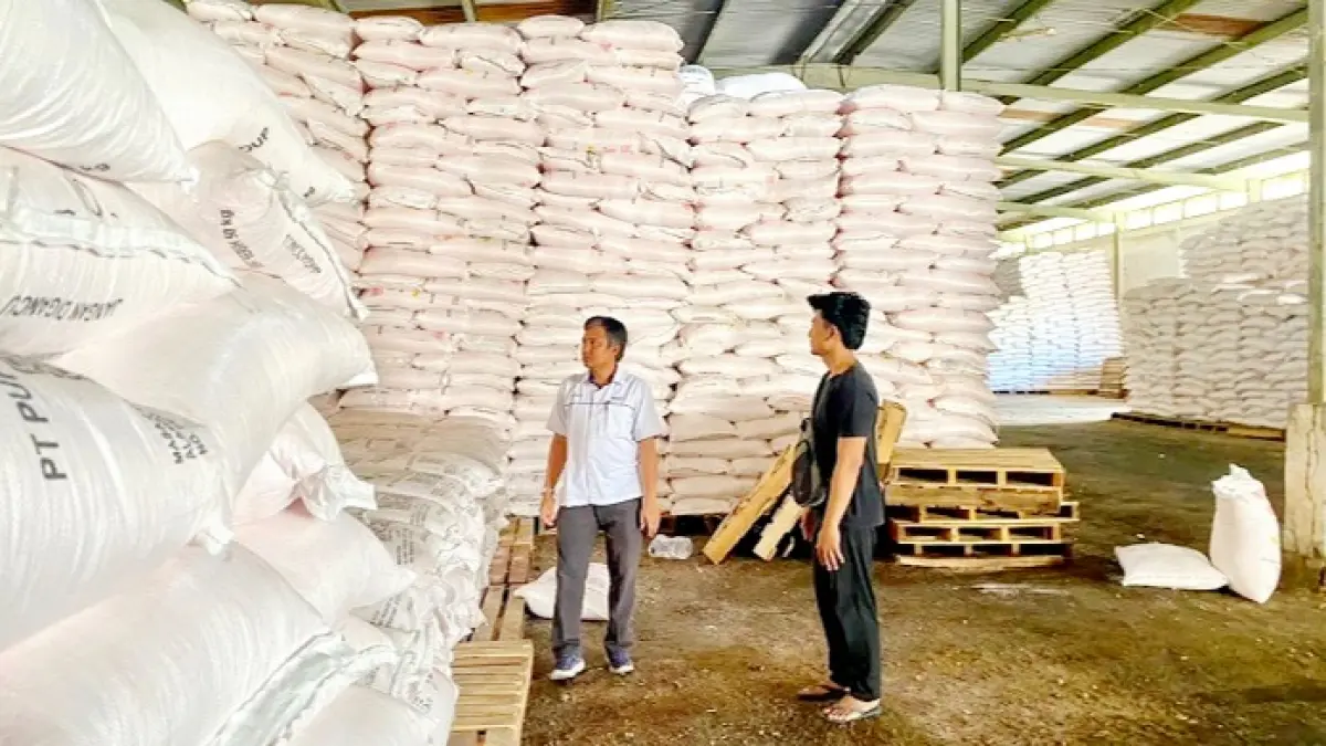 STOK: AE PT Pupuk Indonesia Yoppy Sandy Julian (baju putih) saat melihat stok pupuk di Gudang Penyangga Lini III PT Petrokimia Gresik di Sampang Rabu (15/7). (AYU LATIFAH/JPRM)