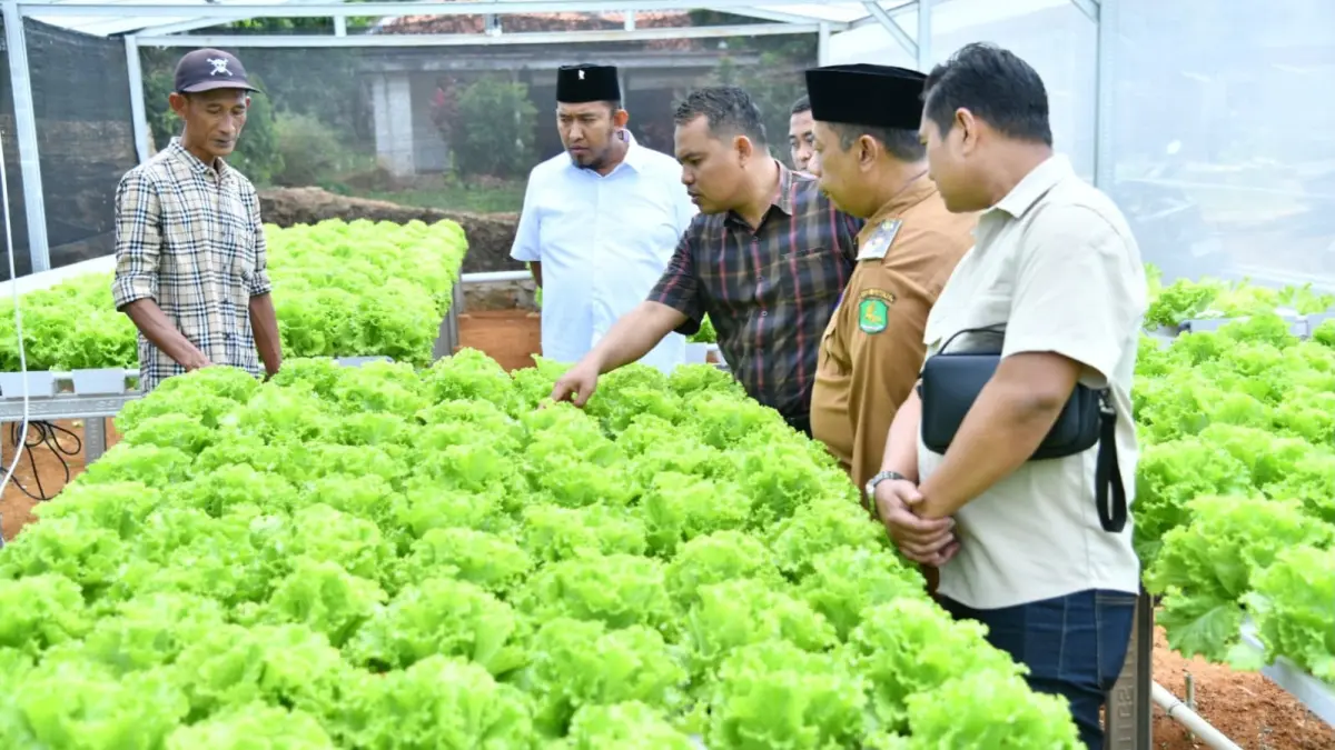 TURUN LANGSUNG: Bupati Sumenep Achmad Fauzi Wongsojudo (kemeja putih) meninjau tanaman hidroponik IRA Farm di Desa Ketawang Laok, Kecamatan Ganding, Senin (13/7).