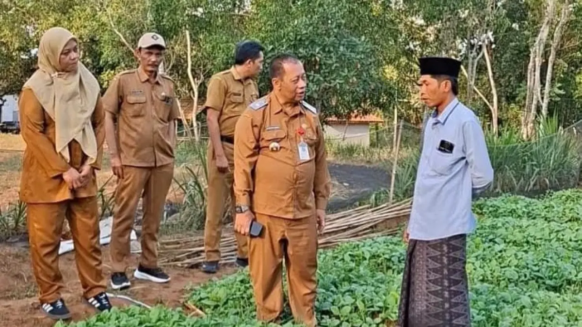 FOKUS: Kepala DKPP Sumenep Chainur Rasyid saat memantau langsung persemaian bibit tembakau Prancak 95 di Sumenep.