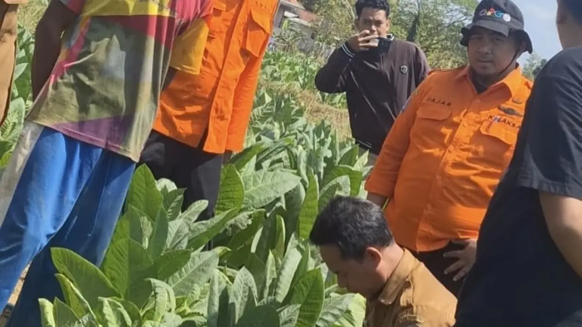 GEGER: Tim BPBD Sampang saat melakukan pengecekan di lokasi suara gemuruh air di Dusun Bangsal, Desa Gunung Eleh, Kecamatan Kedungdung, Sampang, Senin (3/8).