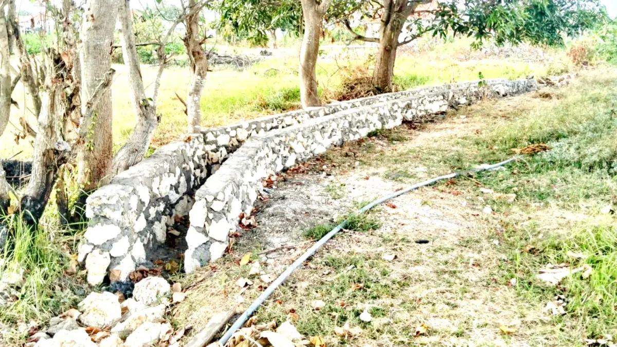 DISOROT: Kondisi bangunan irigasi P3TGAI Dharma Tanjung, Camplong, Sampang sebelum diminta dibongkar, Rabu (5/8). (ANIS BILLAH/JPRM)