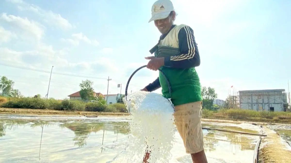 BERSIH: Samhaji saat menuangkan hasil garam di lahan kerjanya di Kelurahan Polagan, Kecamatan Sampang, Minggu (16/8). (AYU LATIFAH/JPRM)