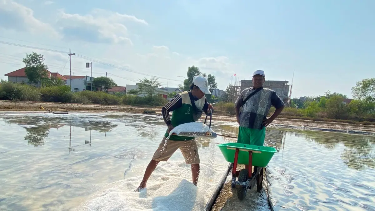 MATA PENCAHARIAN: Samhaji saat bekerja di tambak garam Kelurahan Polagan, Sampang, Minggu (16/8).