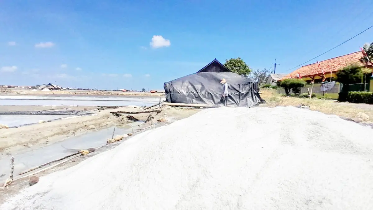 POTENSI LOKAL: Petani garam di Desa Lembung, Kecamatan Galis, Pamekasan, menutup hasil produksinya dengan terpal Rabu (19/8). (M. KHOLIL RAMLI/JPRM)