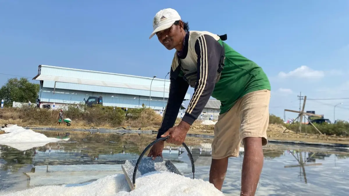 ASIN: Salah satu petambak saat menyerok garam di Kelurahan Polagan, Sampang, Minggu (16/8).