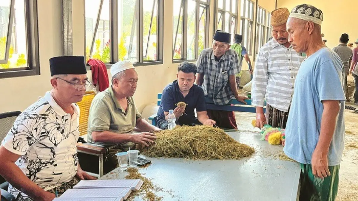 TERBUKA: Pengusaha tembakau Sumenep H Mukmin (kopiah putih) saat mengecek tembakau di Gudang Daramista, Kecamatan Lenteng, pada Kamis (20/8). (MOH. IQBAL/JPRM)