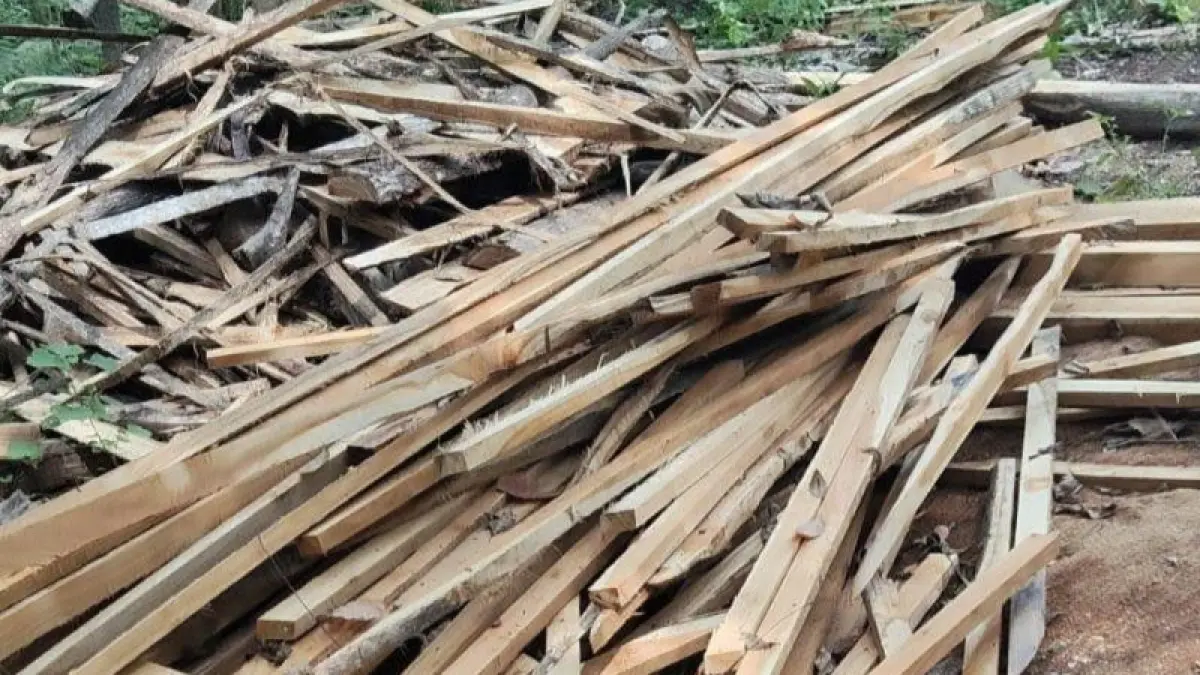 BARANG BUKTI: Kayu yang dicuri oleh ketiga pelaku di Desa/Kecamatan Nonggunong.