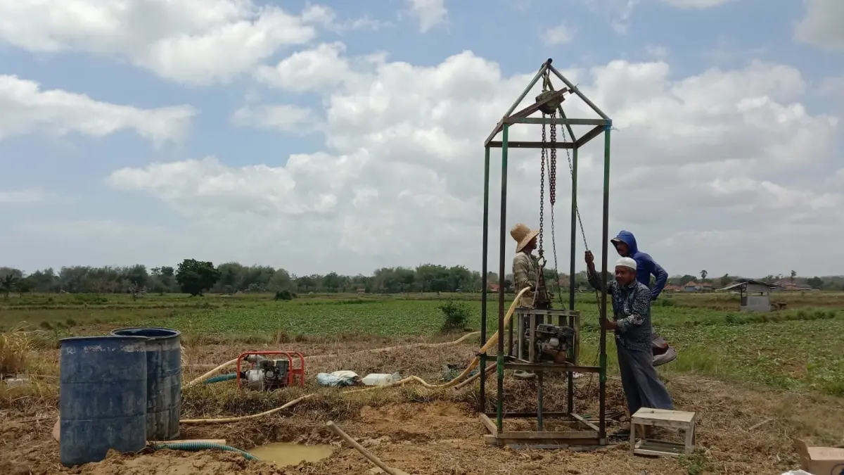 KEMARAU: Warga mengebor sawahnya untuk mencari sumber mata air sebelum ditanami kacang hijau, Senin (31/8).