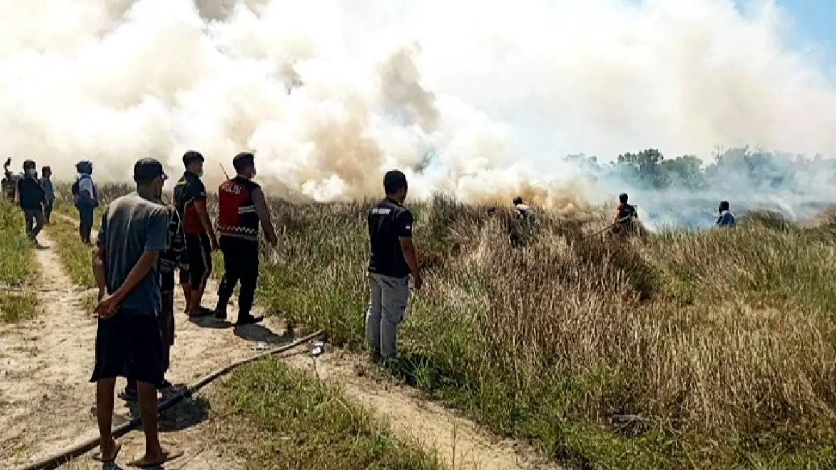 HANGUS: Patugas Damkar Satpol PP Bangkalan melakukan penyemprotan terhadap titik api di lahan yang terbakar di Jalan Halim Perdanakusuma, Bangkalan, Sabtu (5/9). (DAMKAR SATPOL PP BANGKALAN UNTUK JPRM)
