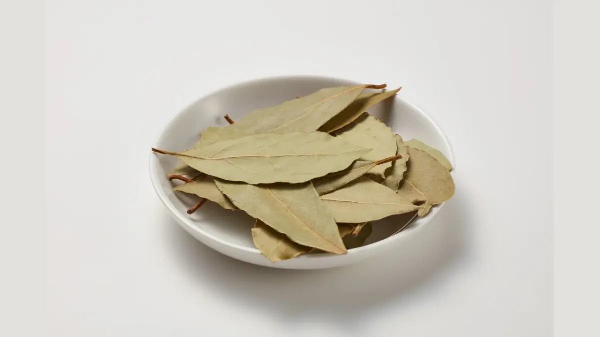 Manfaat daun salam buat kesehatan