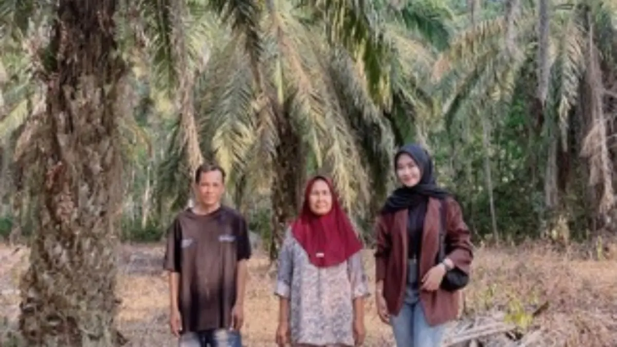 TURBA: Alifia Naura Nazifah, Mantri BRI Unit Sumber Hidup, BRI Branch Office Kayu Agung bersama petani sawit.