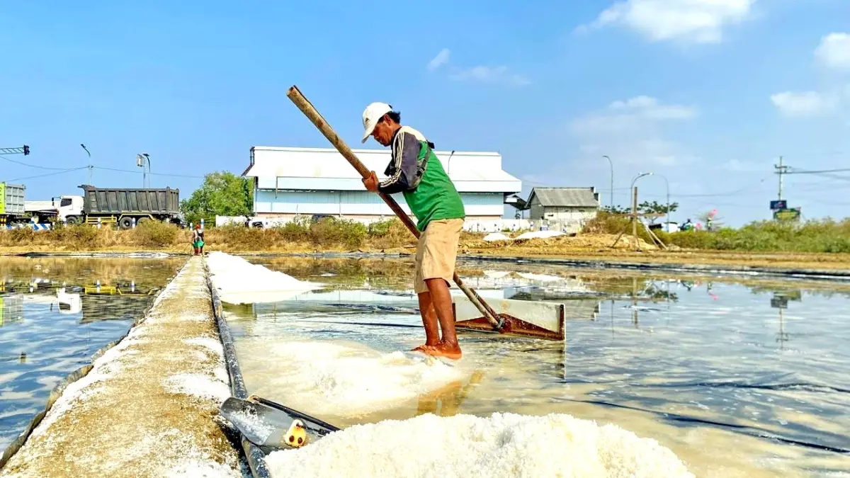 SEMANGAT: Samhaji sedang panen garam di tambaknya di Kelurahan Polagan, Kecamatan Sampang, Minggu (16/8). (AYU LATIFAH/JPRM)