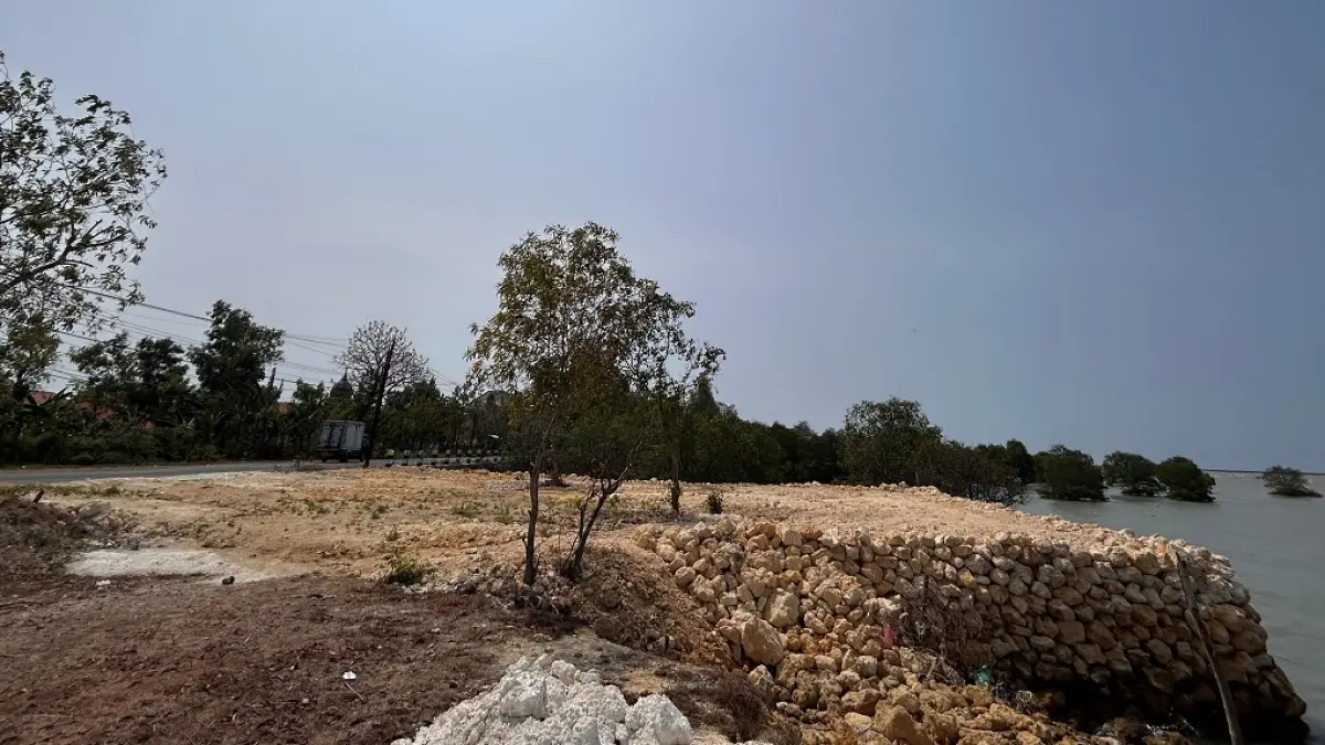 RUSAK MANGROVE: Pengendara melintas di sekitar reklamasi sempadan pantai di Desa Taddan, Kecamatan Camplong, Sampang, yang di tengah lokasi masih terdapat pohon mangrove, Selasa (8/9).