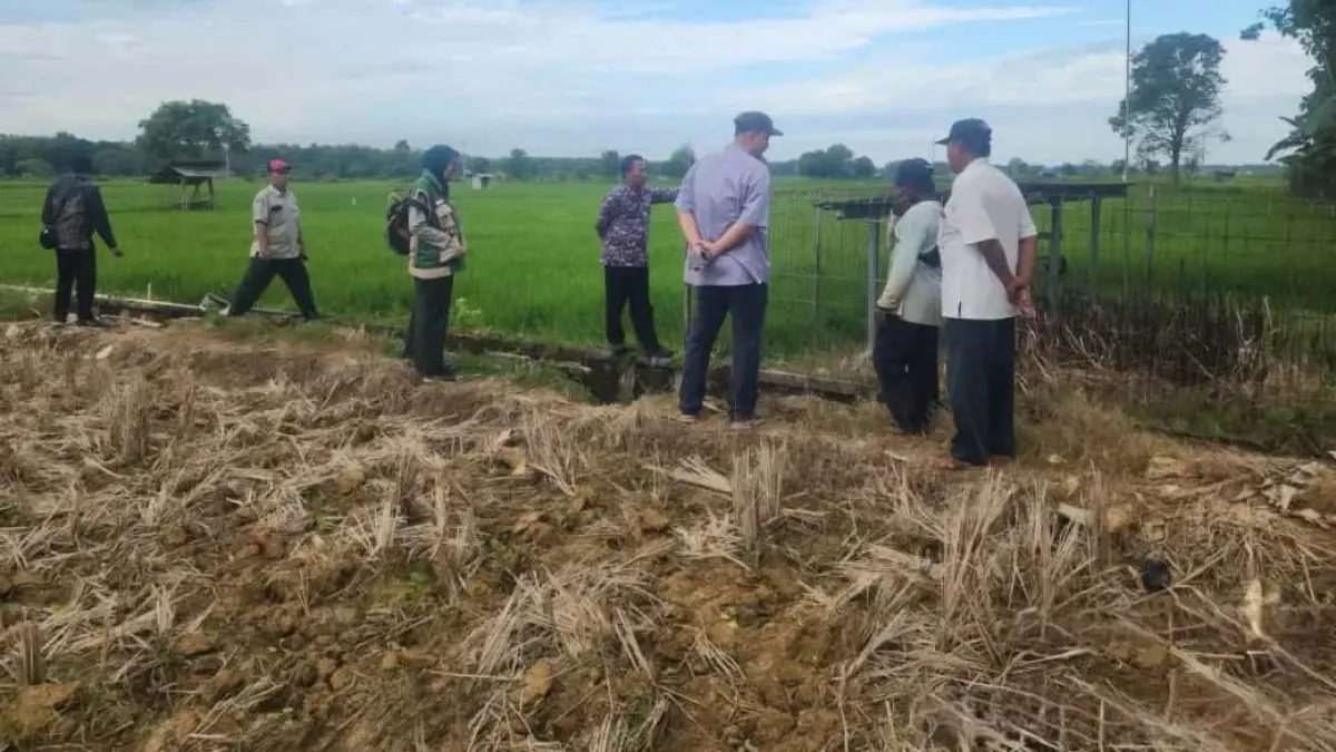 OPTIMISTIS: Petugas DKPP Sumenep saat memantau pemanfaatan PATS di Sumenep.