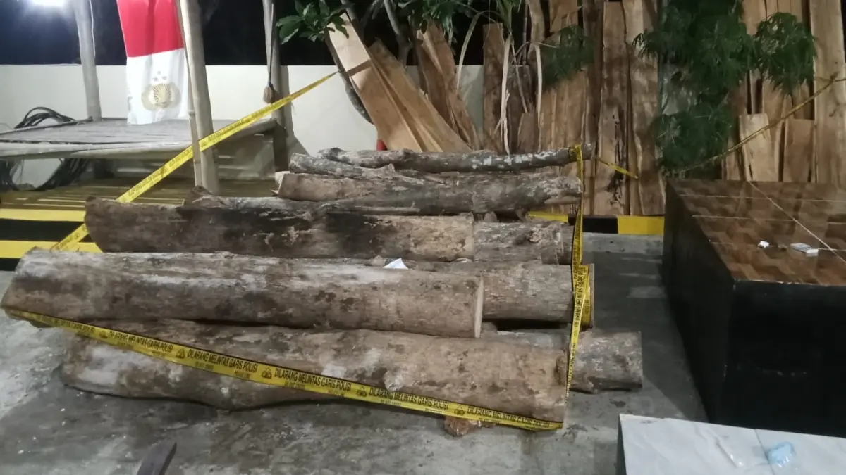 JADI SITAAN: Keberadaan BB kayu pecaton berada di Polsek Nonggunong pada Sabtu (5/9).