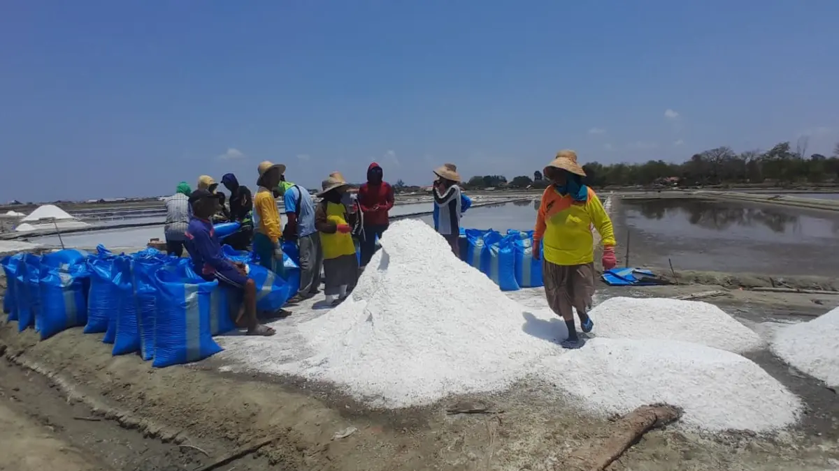 POTENSI LOKAL: Buruh tani di Desa Lembung, Kecamatan Galis, tengah mengemas garam hasil panen, Rabu (23/9).