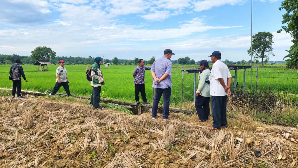 TURUN LANGSUNG: Petugas DKUPP Sumenep turun ke lapangan pantau langsung program GEDE TANINYA.