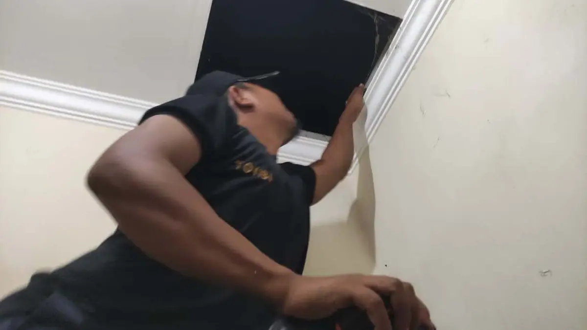 DIEVAKUASI: Tim damkar Sampang saat mengevakuasi ular piton di rumdin kantor Kejari Sampang, Kamis (24/9).