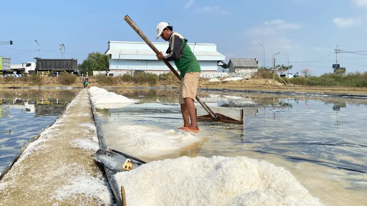 PRODUKSI: Petambak saat menggarap garam di Jalan Halim Perdana Kusuma, Sampang, Sabtu (16/8). (AYU LATIFAH/JPRM)