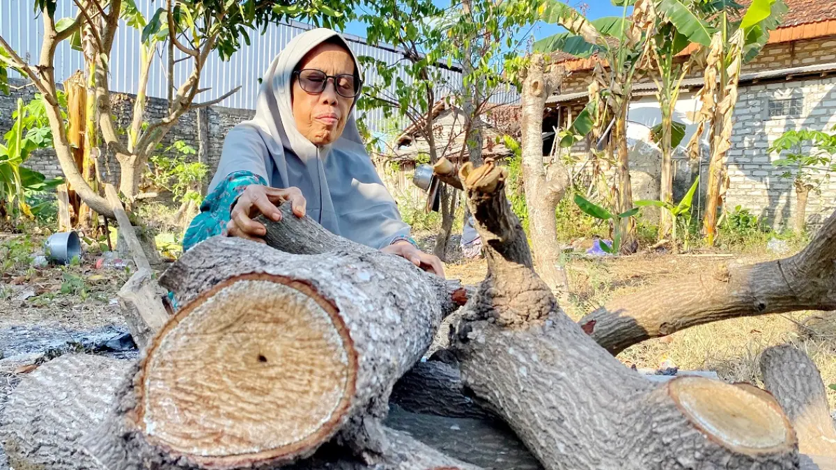 TERIK: Warga memilah kayu kering di belakang rumahnya di Desa Waru Barat, Kecamatan Waru, Rabu (28/9).
