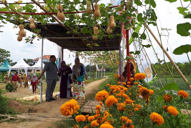 Sulap Budi Daya Buah dan Sayur Menjadi Objek Wisata