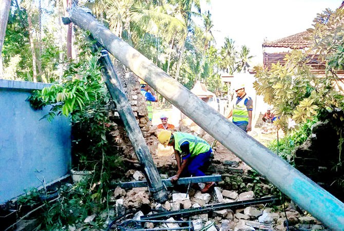 Tebang Pohon Kelapa, Tiang Listrik Roboh