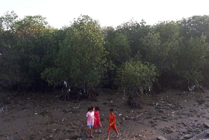 Wisata Mangrove Belum Tersentuh Pembangunan Pemkab