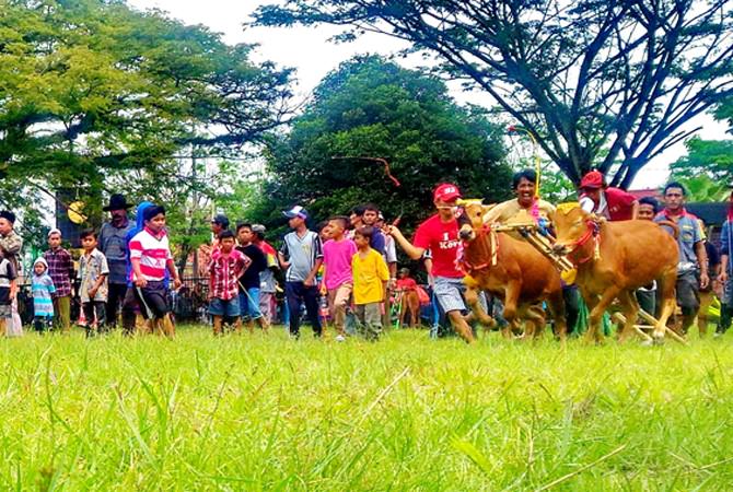 Pemkab Minta Karapan Sapi Piala Presiden Dihelat Bergilir