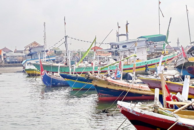 Minta Diskan Segera Merespons Program Kartu Kusuka