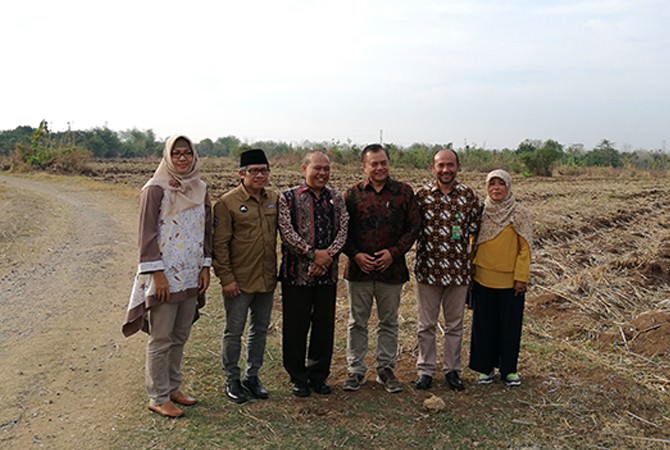 Penanaman Kayu Putih Dipusatkan di Kamal